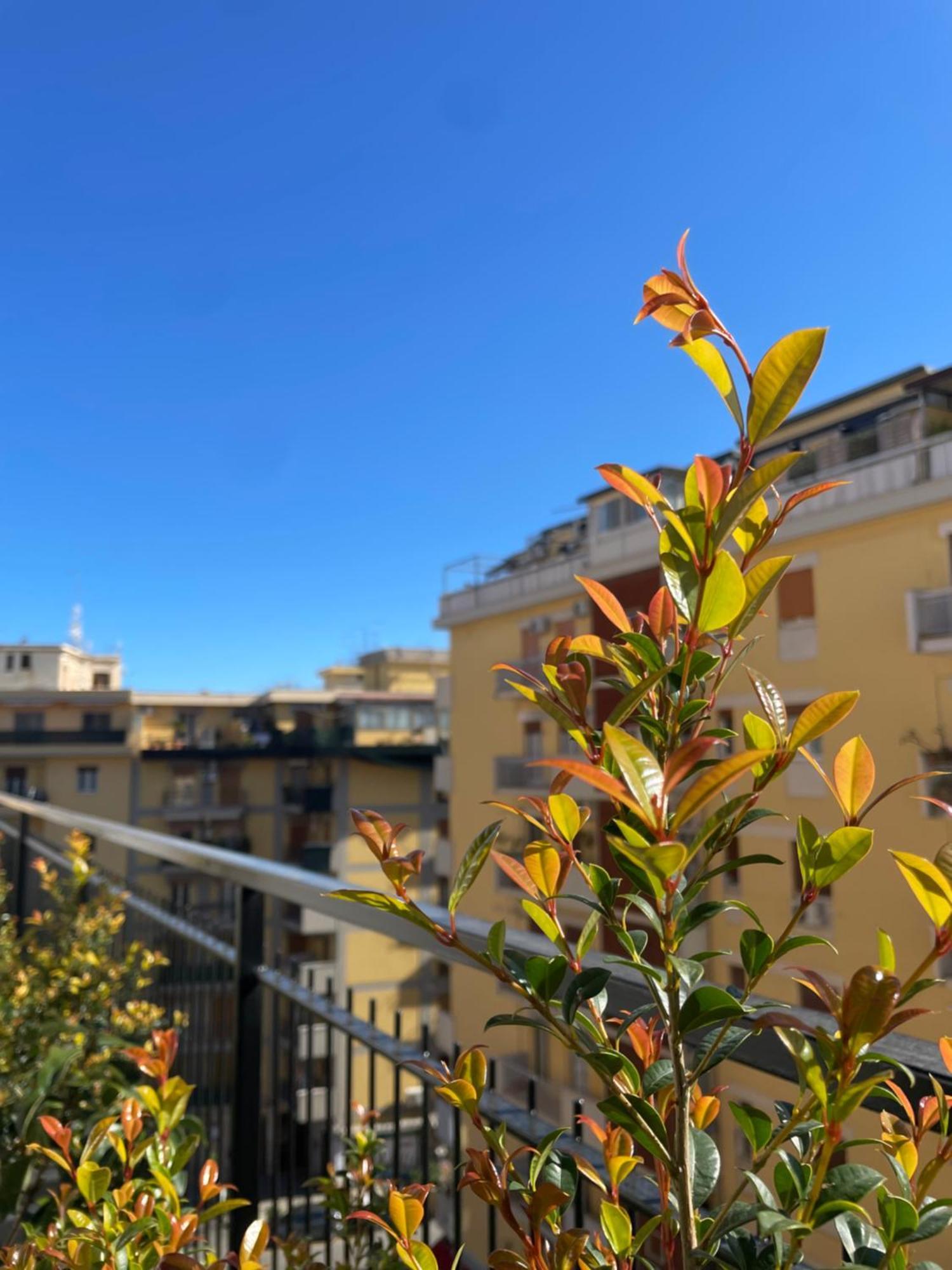 Terrazza L Emiro Casa Vacanze Palermo
