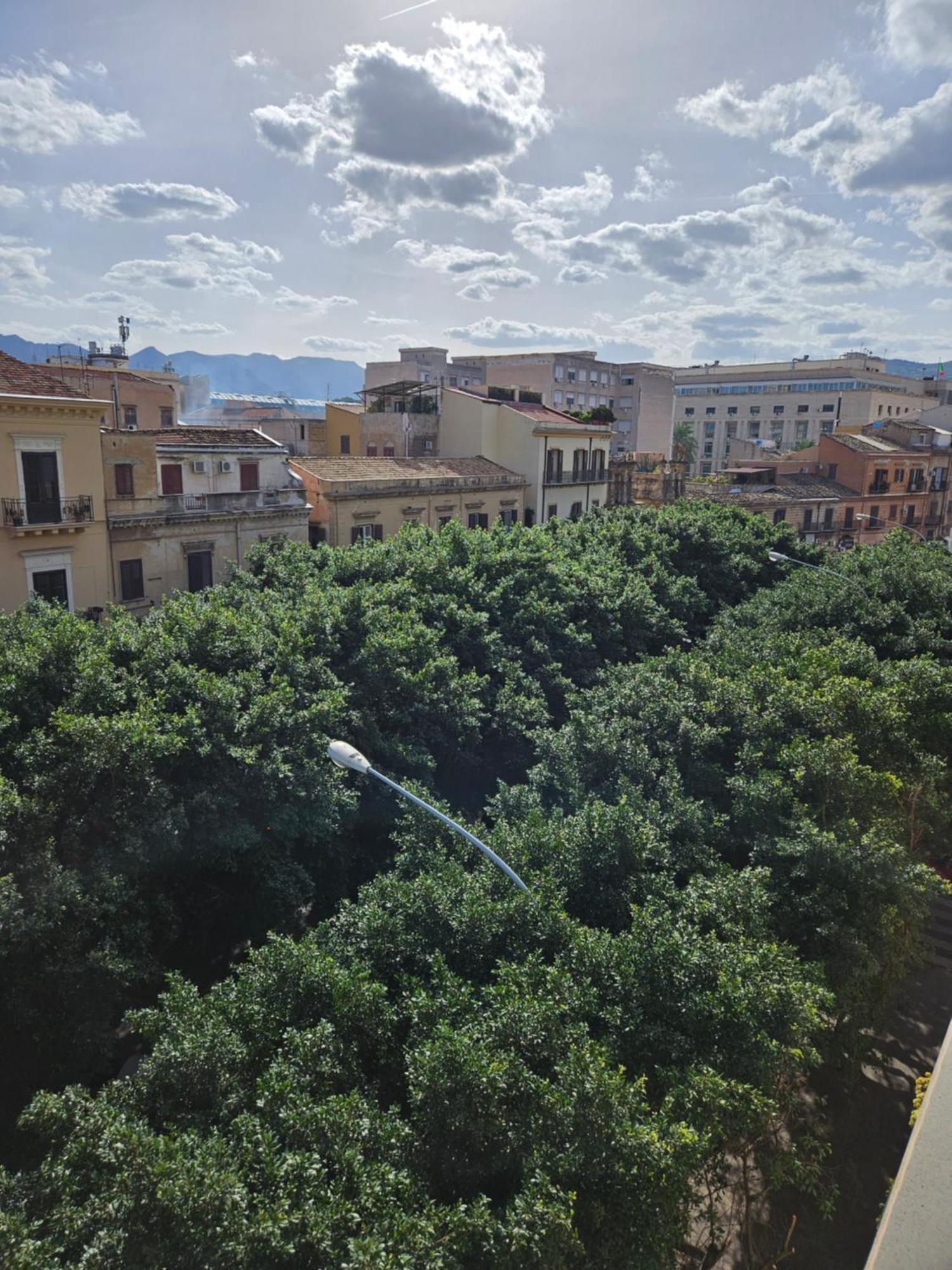Terrazza Massimo Apartment *