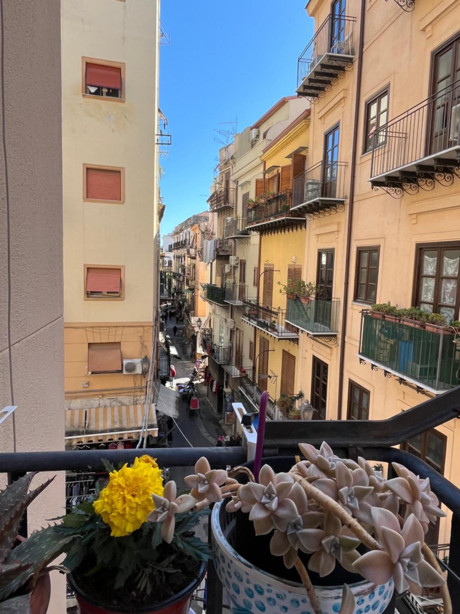 Donizetti 19 Palermo
