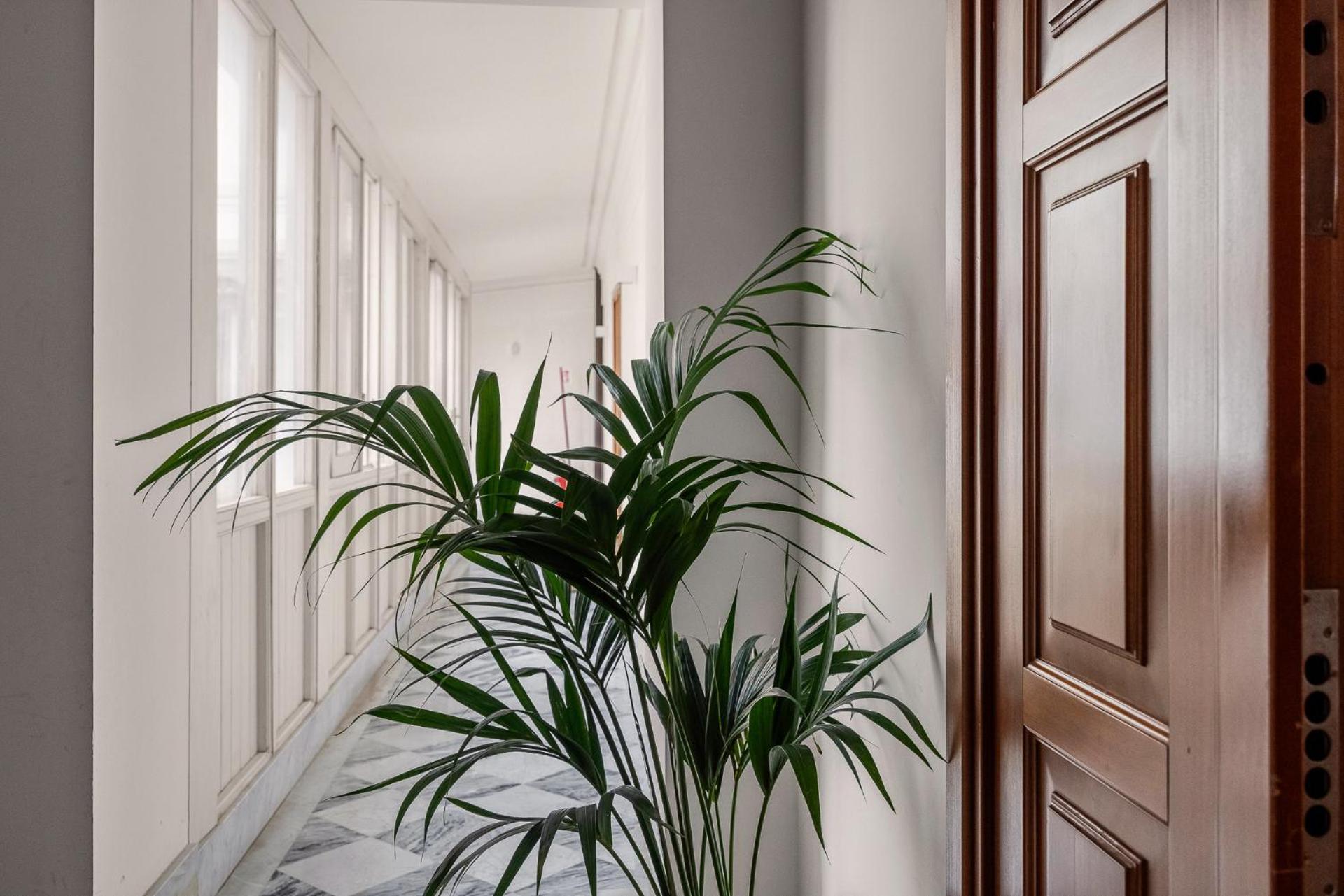 Mani San Domenico By Domusicily Aparthotel *