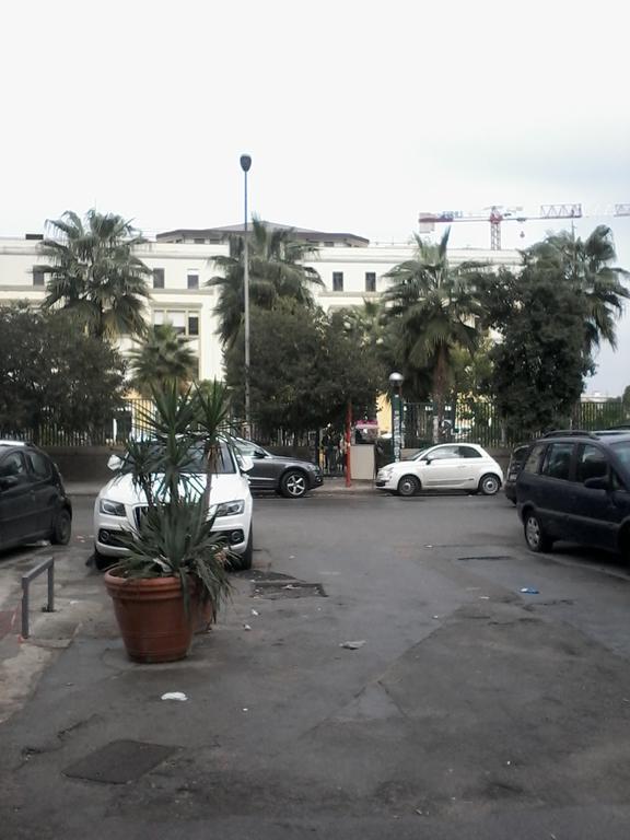 Santa Rosalia 2*
