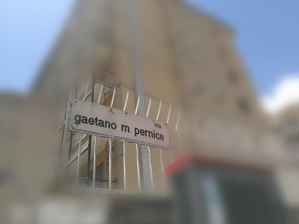 Alba Sui Tetti *