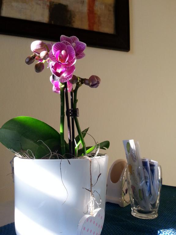 Bed & Breakfast Politeama Square Palermo