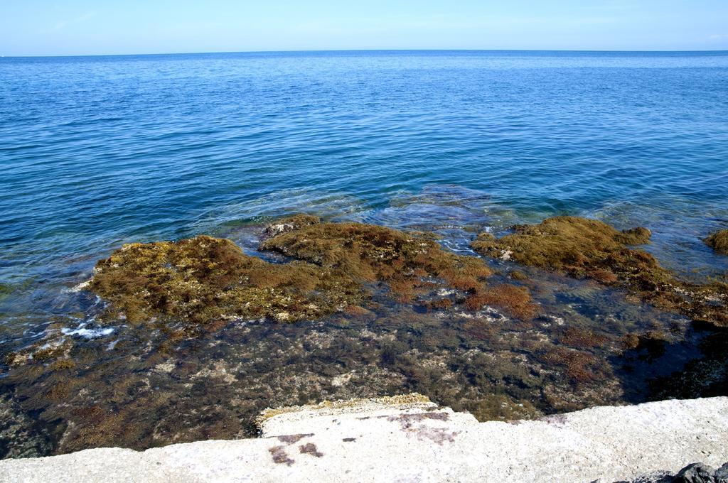 Addumari Palermo
