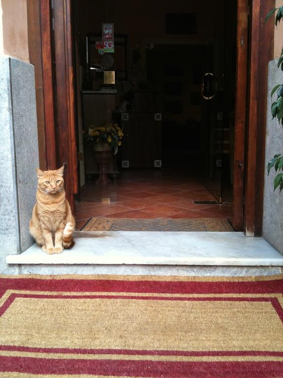 Giardino Dell'alloro - Locazioni Turistiche Bed & Breakfast