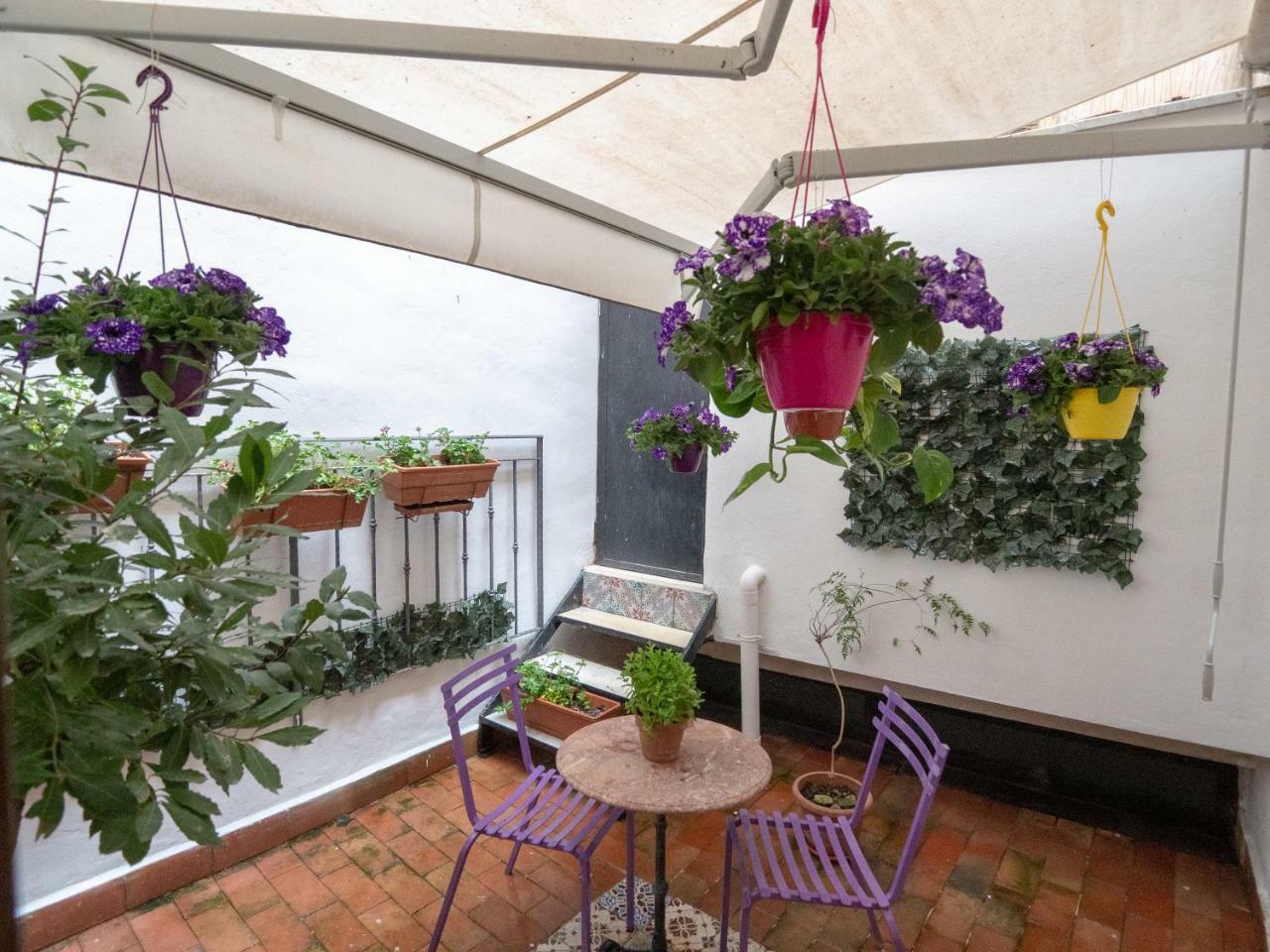 Giardino Dell'alloro - Locazioni Turistiche 3*