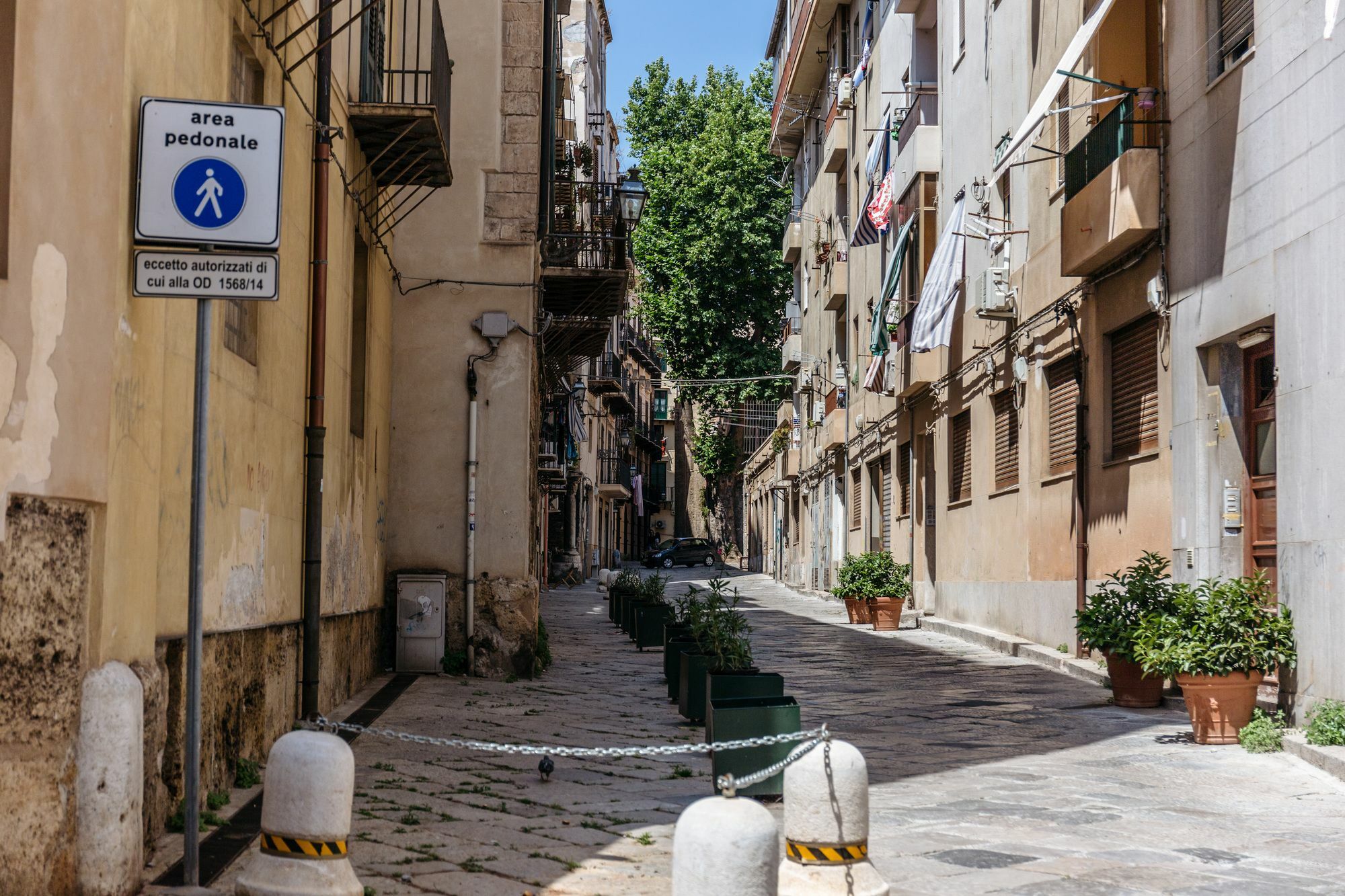 Harmony Bb Palermo