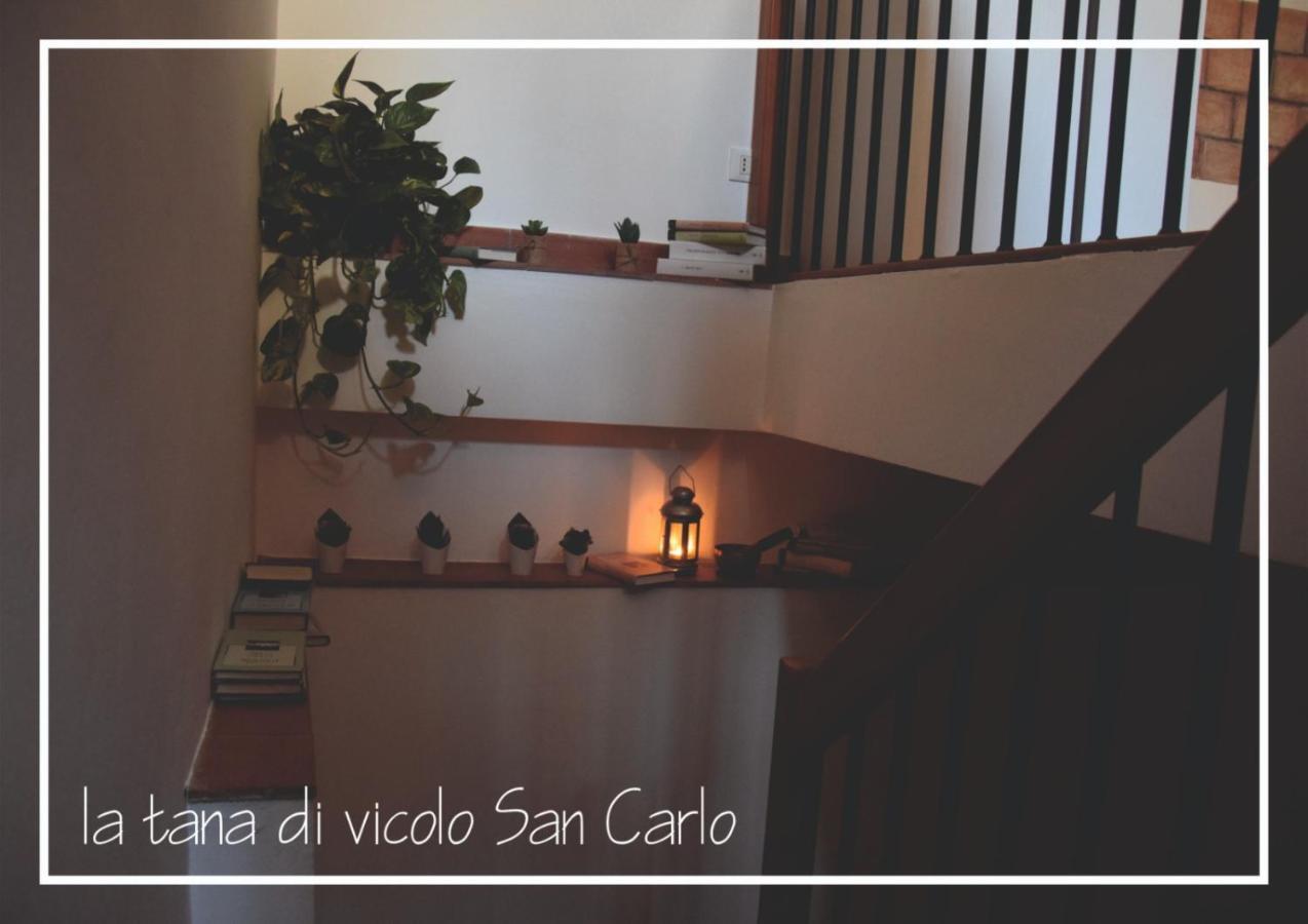 La Tana Di Vicolo San Carlo Apartment *