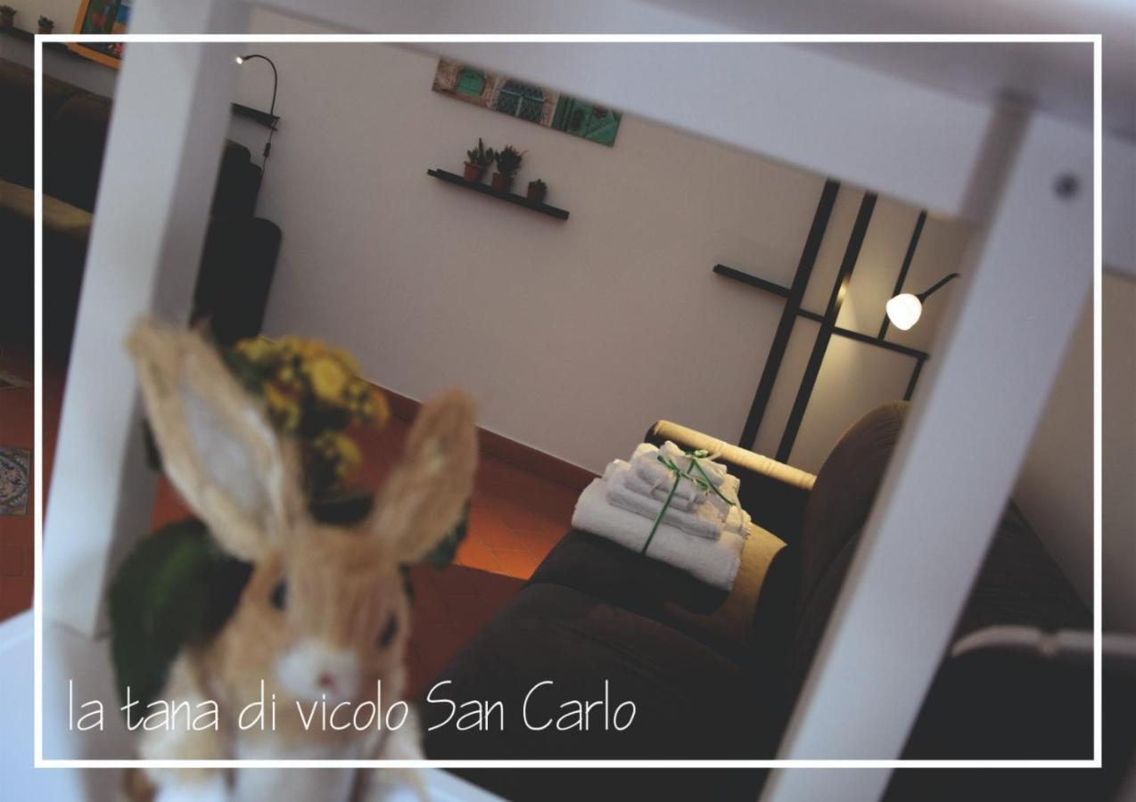 La Tana Di Vicolo San Carlo Apartment *