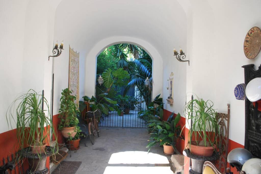 Casa Immersa Nel Al Centro Di Palermo