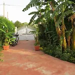 Il Roseto Di Betty Villa Piano T E 1