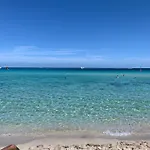 Daziarosetta