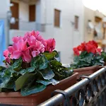 Real teatro Umberto I