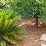 La Casetta Nel Verde