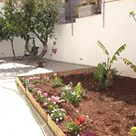 Stardust Home