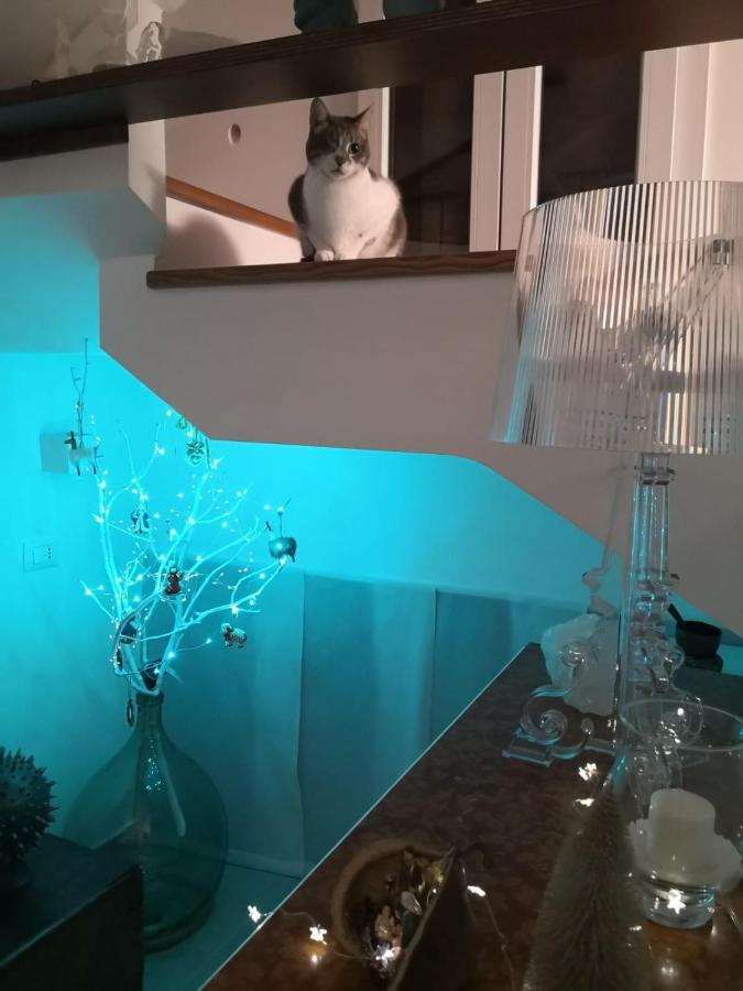 Terrazza Cala Guest house *