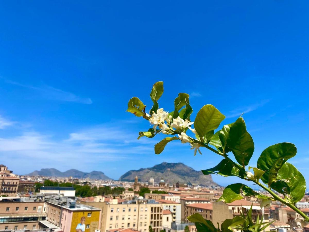 Bed & Breakfast Lealbe Di Sicilia Palermo