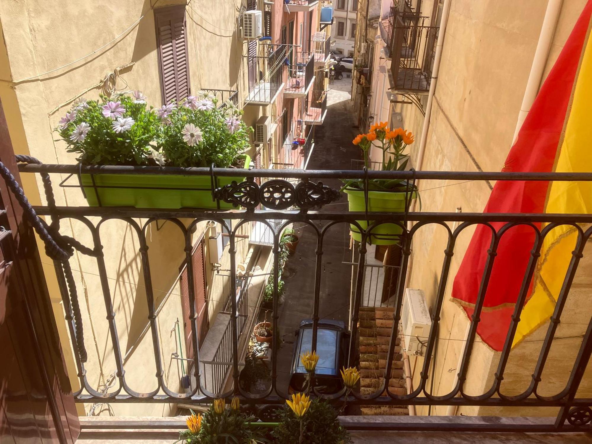 Il Vicoletto Al Massimo Apartment