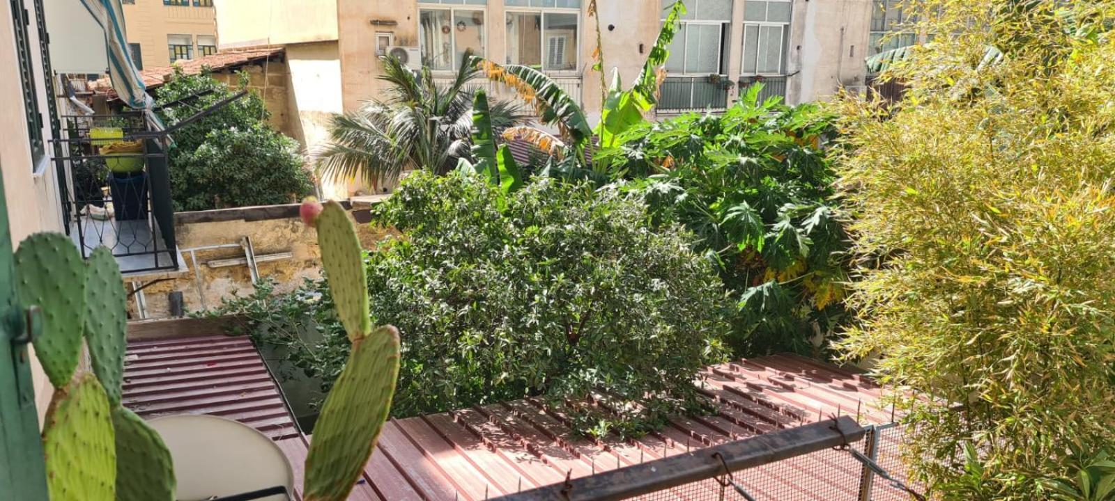 Casa Cactus Sapiddu * Palermo