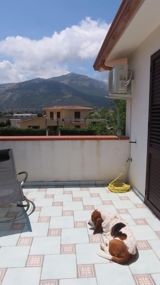 Il Roseto Di Betty Piano T E 1