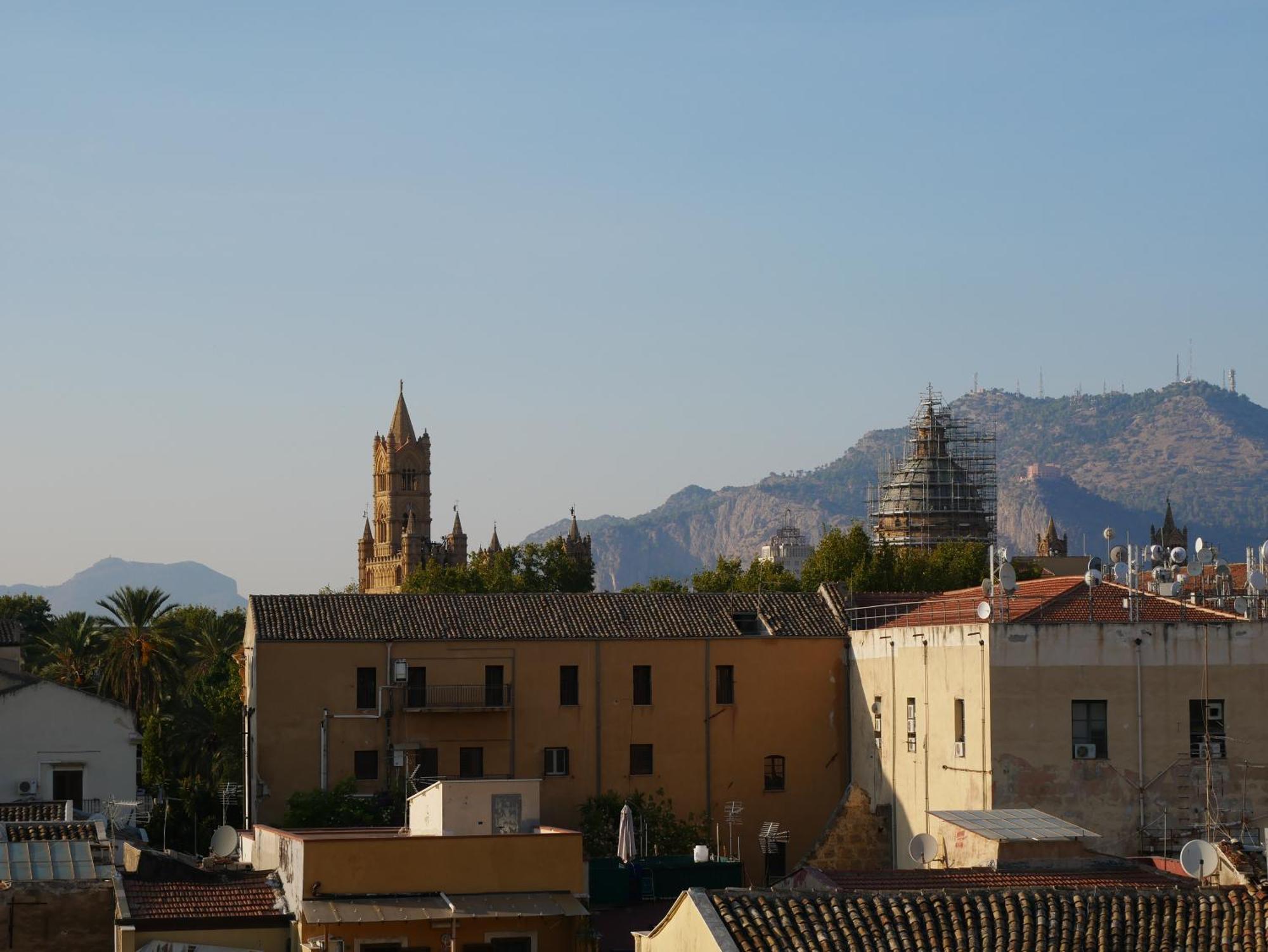 Simone Cupolas View *