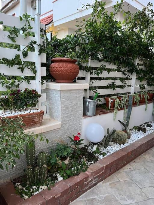 Full Semi-garden In At Mondello Apartment