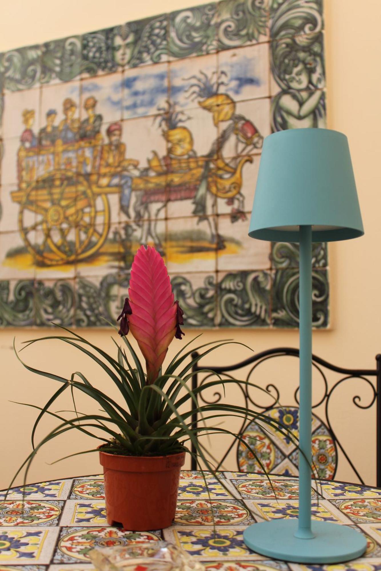 Falstaff & Guest house *