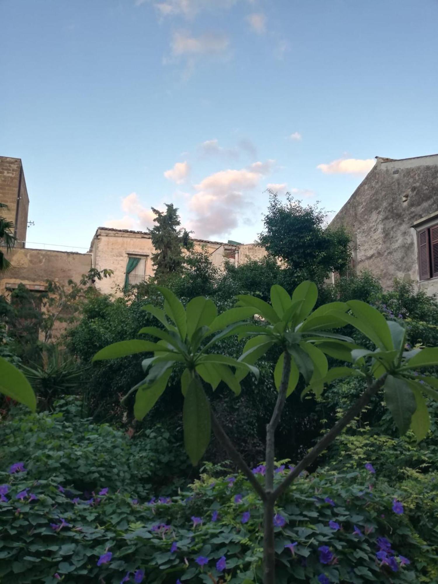 Casa de hóspedes Arimatea 3*