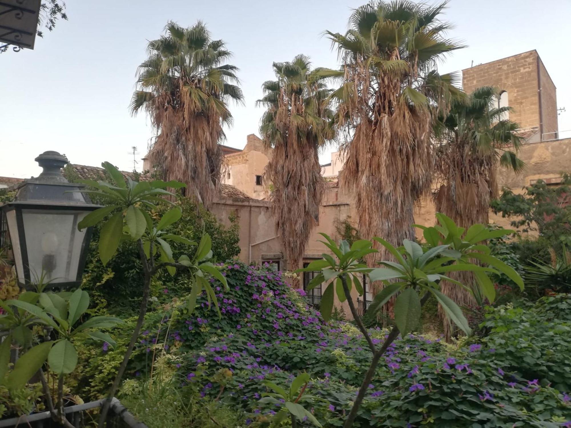 Arimatea Casa Apartment