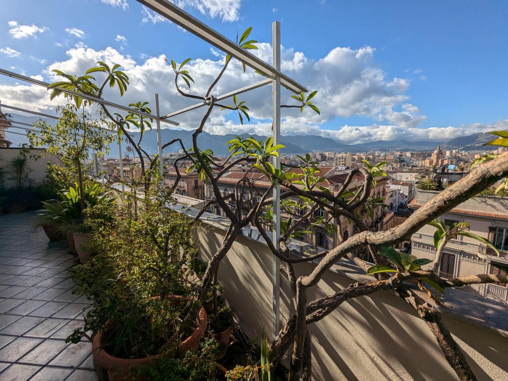 Montesanto * Palermo
