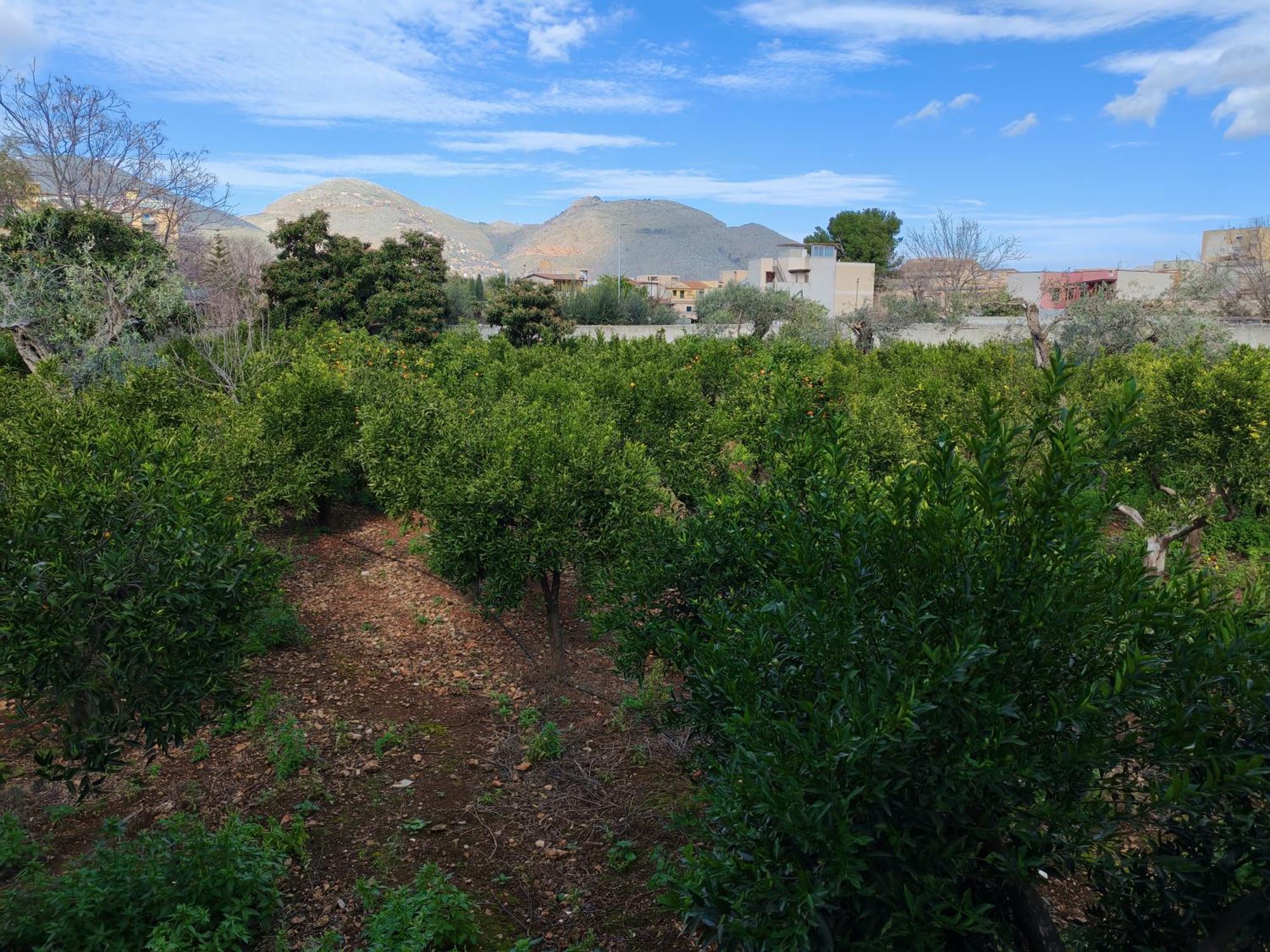 Giardino Delle Arance Luxury * Palermo