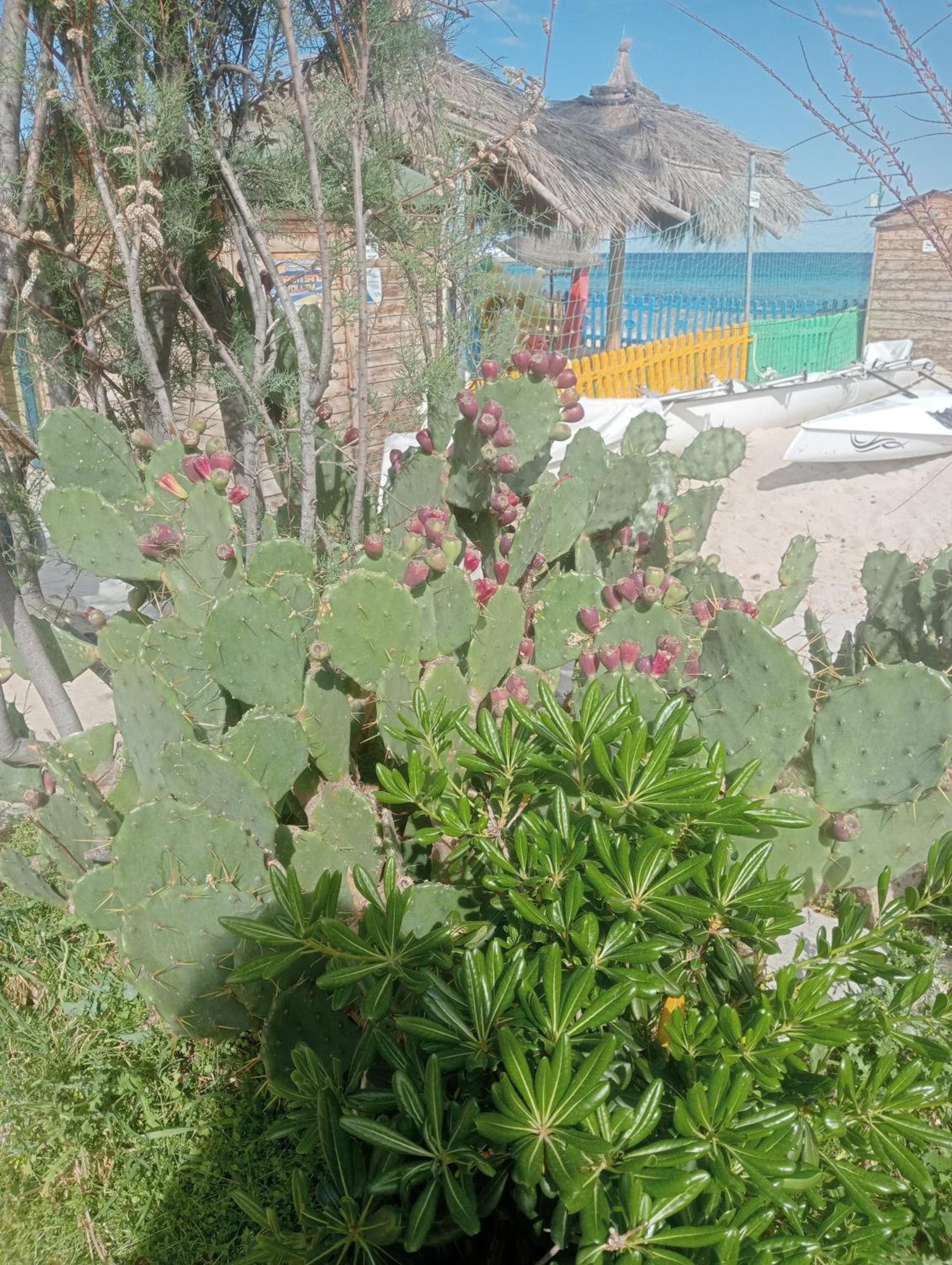 Juno's Casa de hóspedes *