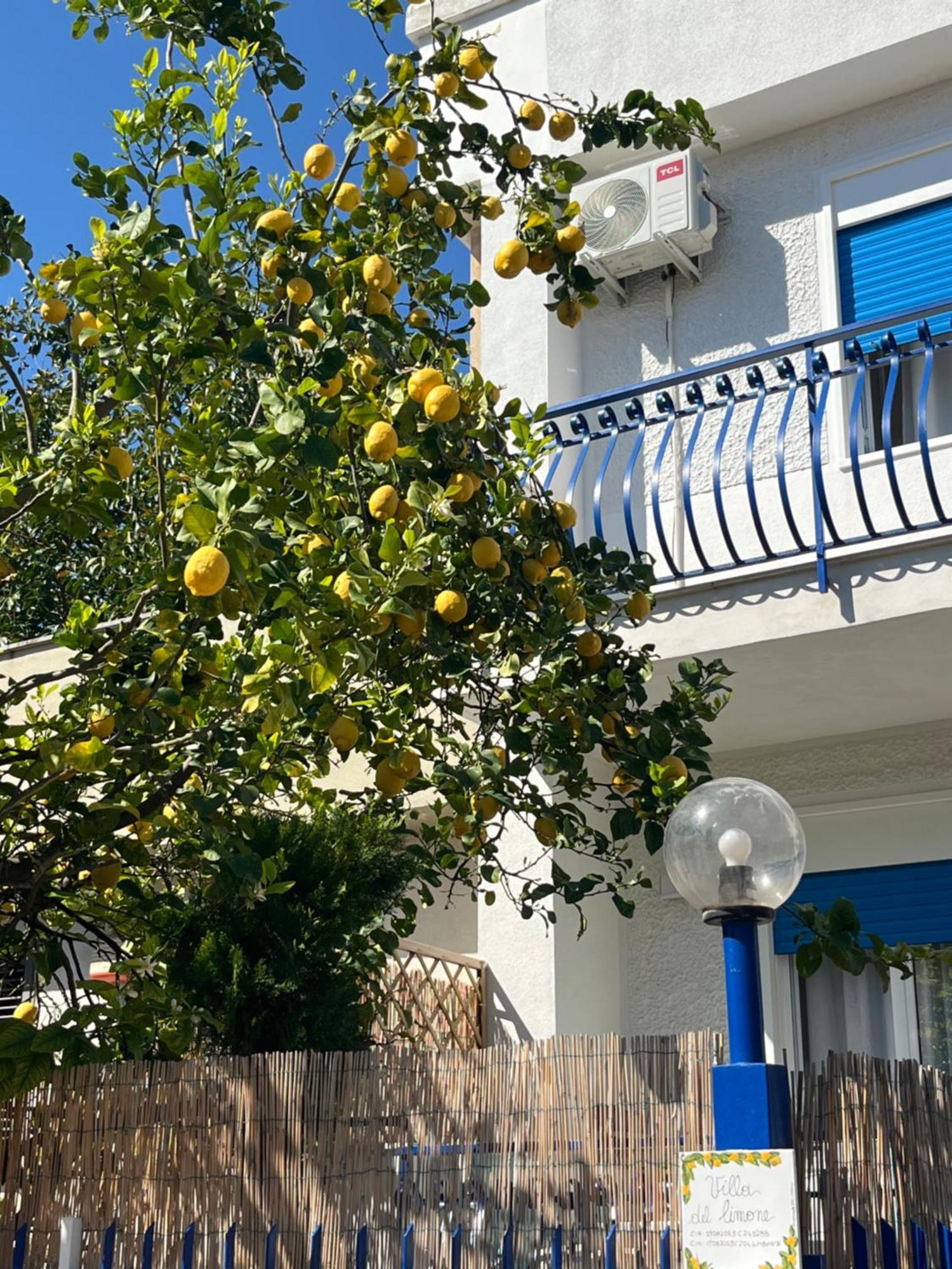 Del Limone , Mondello Via Deucalione 18 ,via Miseno 18 Palermo