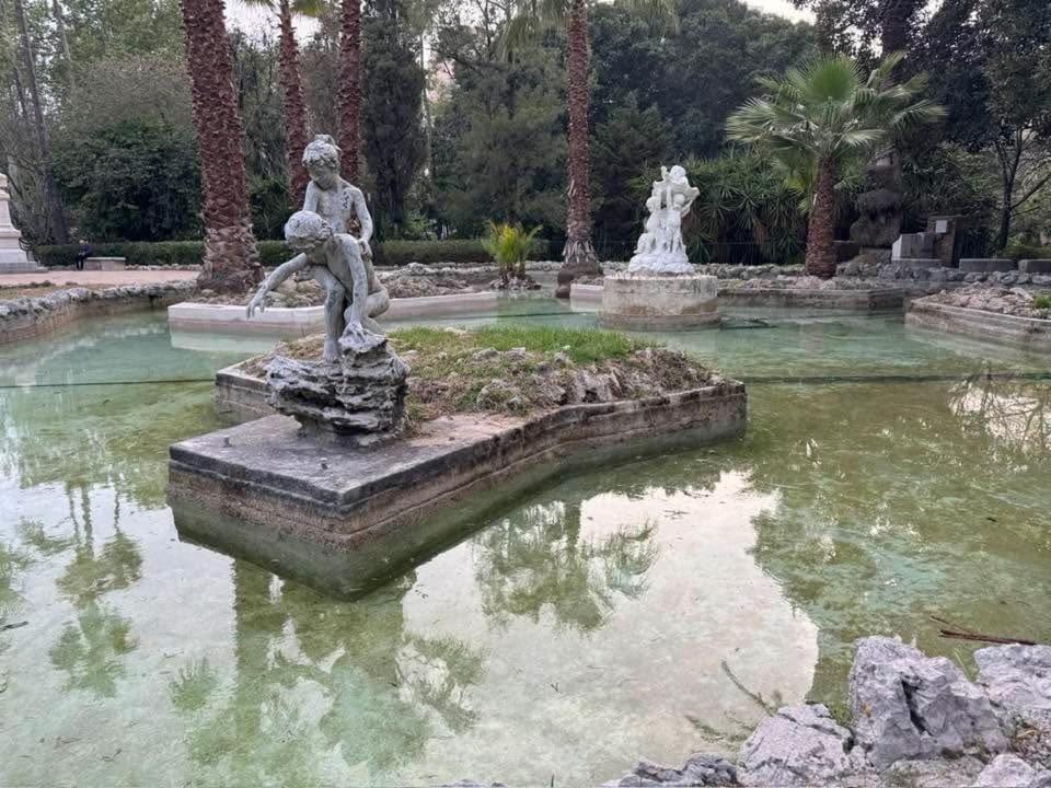 Colezu * Palermo