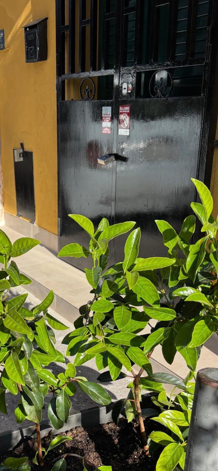 Apartment Liuccia