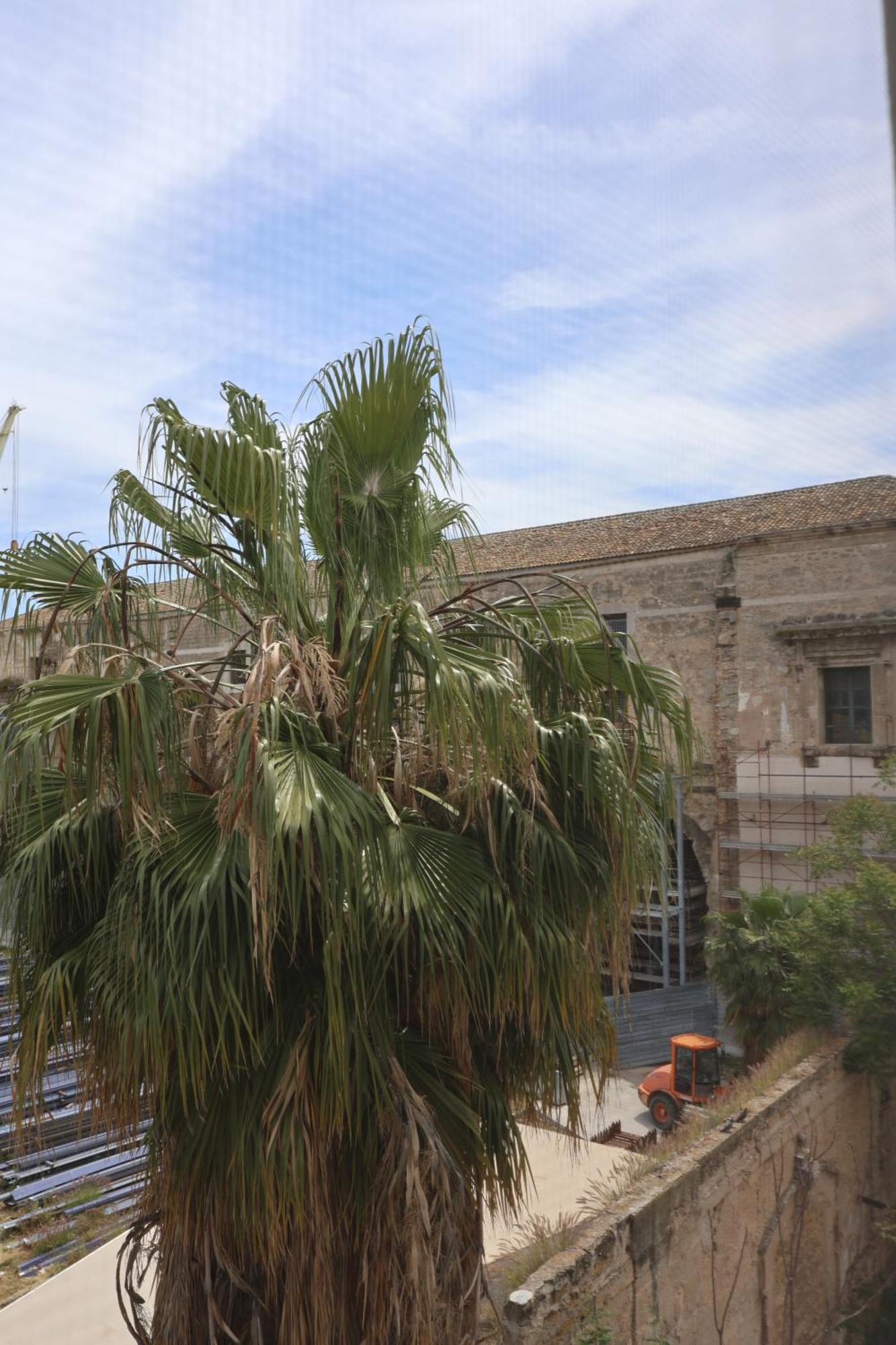 Palazzo De Gregorio - Apartment Palermo