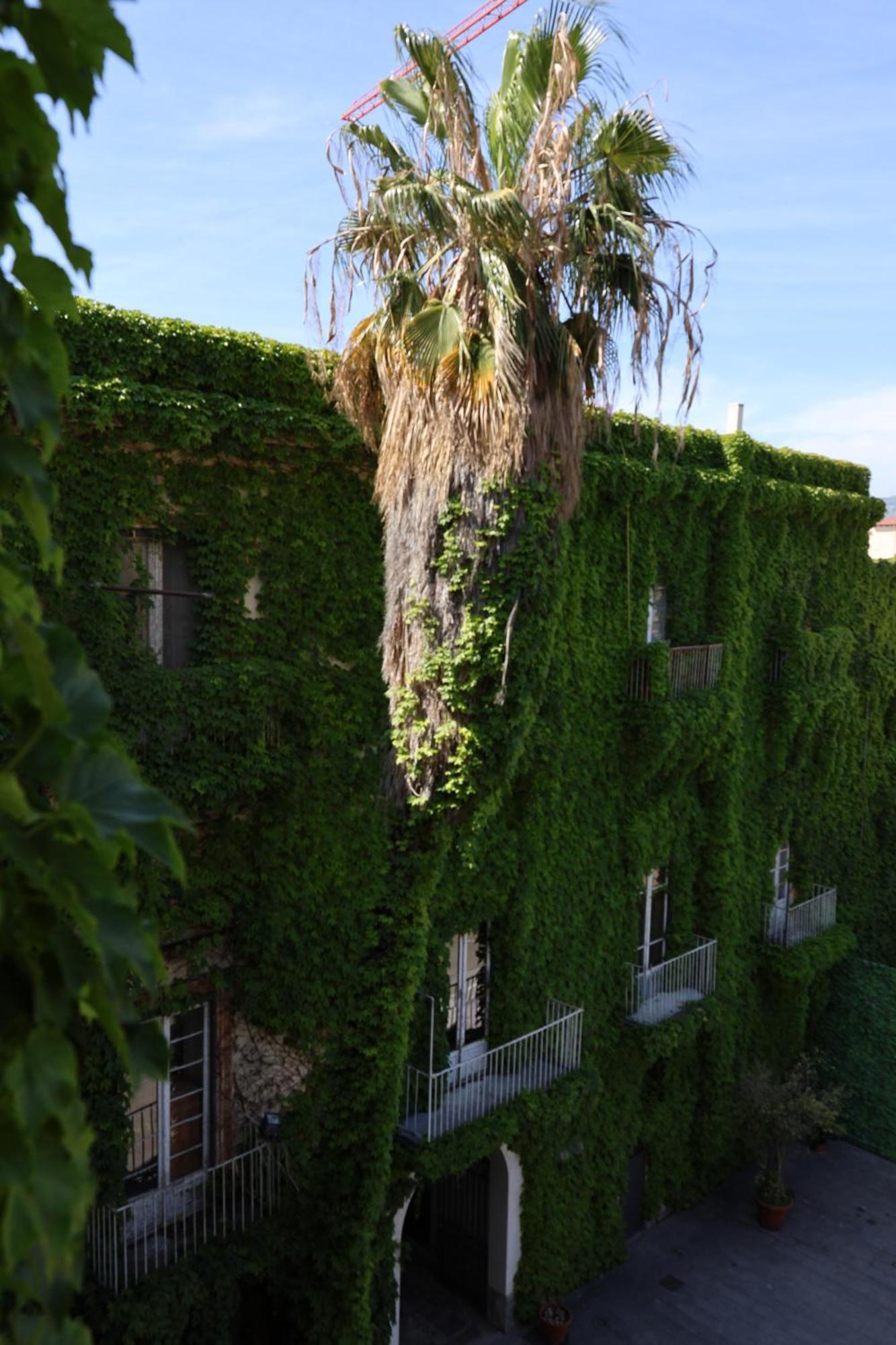 Palazzo De Gregorio - Palermo