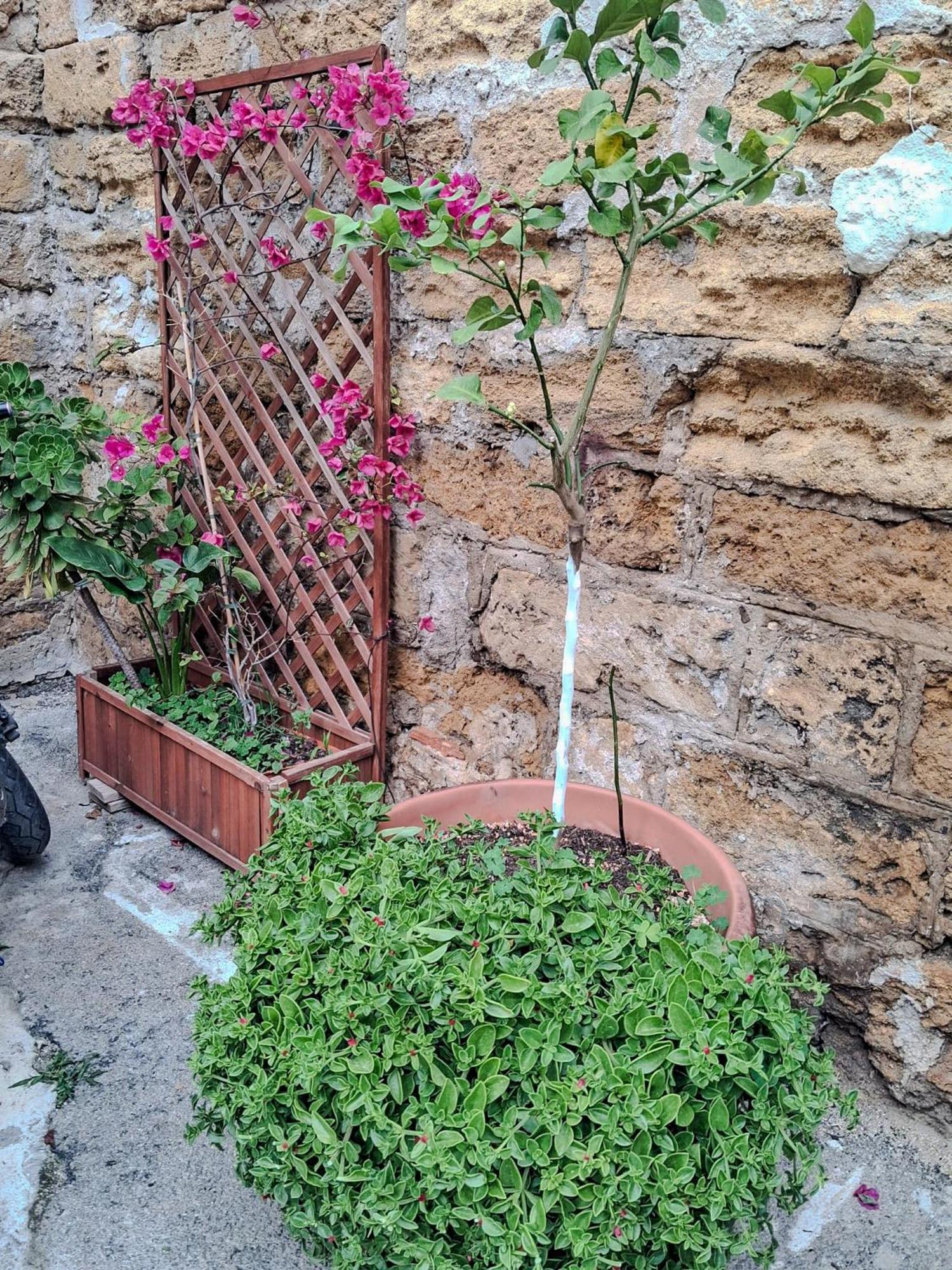 La Casa Di Sciu Sciu Palermo