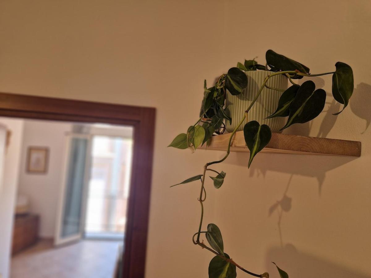 Apartment Nest Cathedral ,in The Heart Of The *