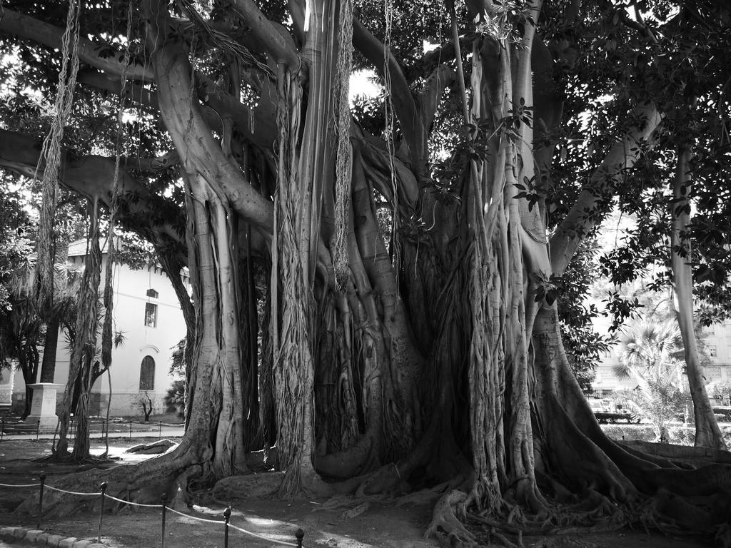 Giardino Dell'alloro - Locazioni Turistiche 3*