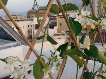 La Terrazza Su Acomodação com café da manhã  Palermo