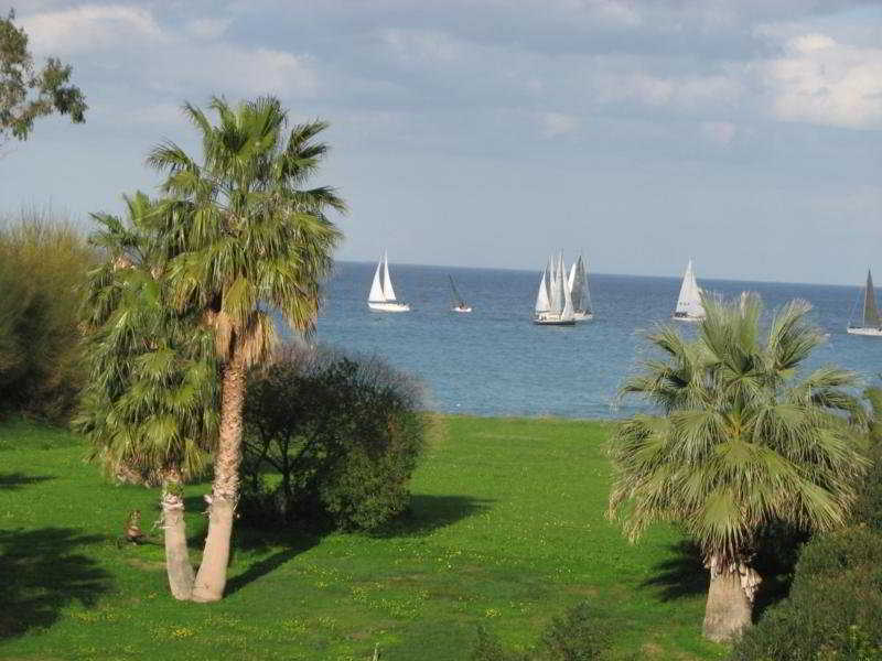 D'amato 3*