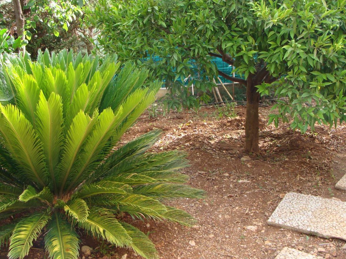Chácara La Casetta Nel Verde Palermo