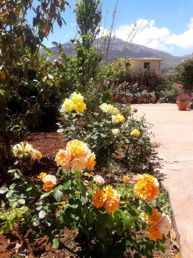 Il Roseto Di Betty Piano T E 1