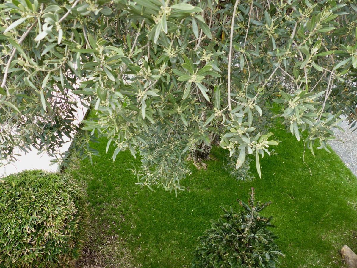 Le Stanze Dellarte Holiday home