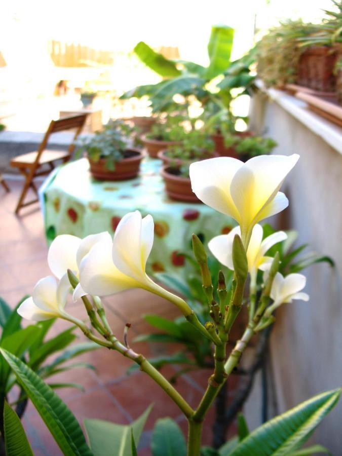 La Casa Di Marzapane Bed & Breakfast 2*