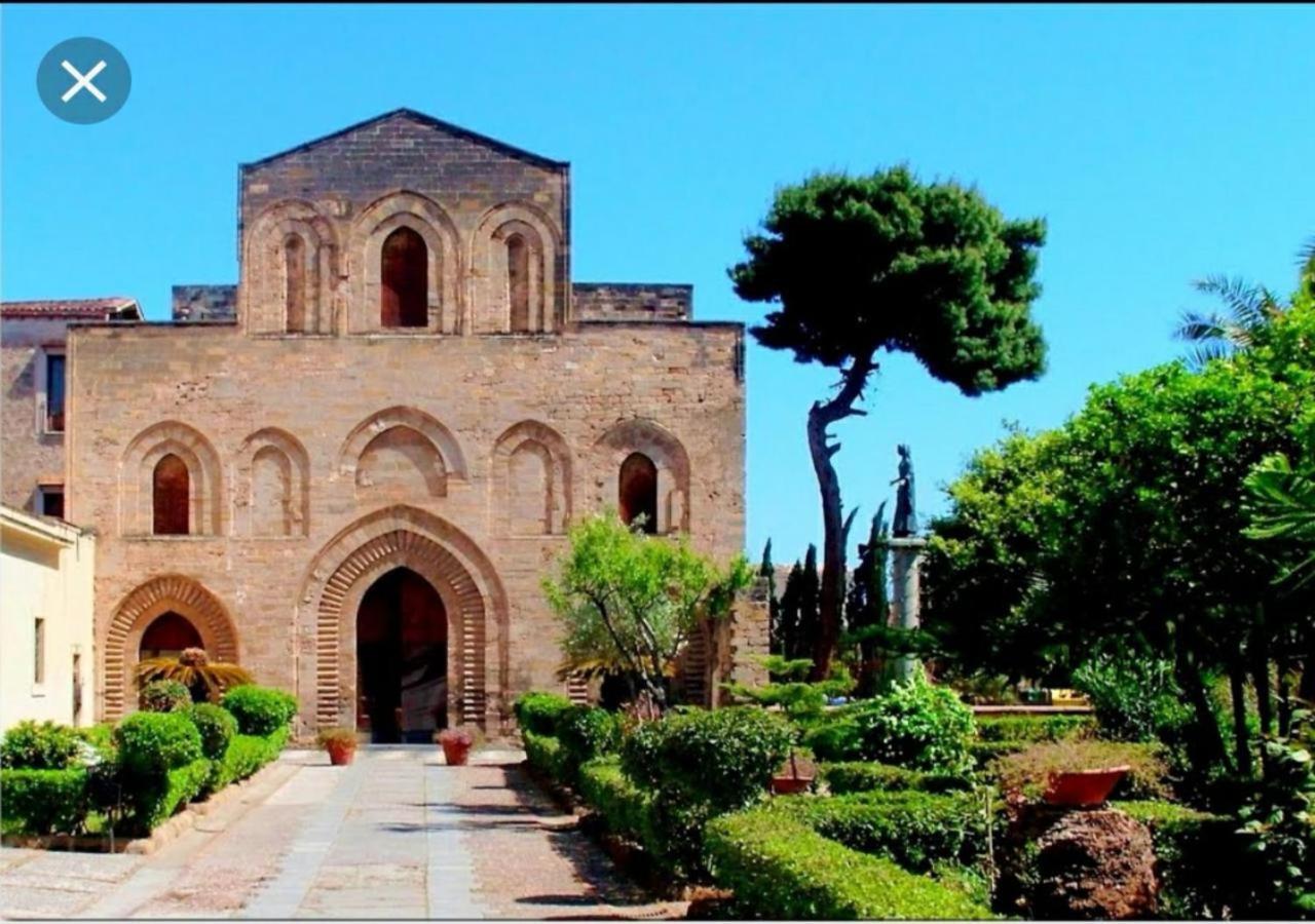 Isidea Olivella Palermo
